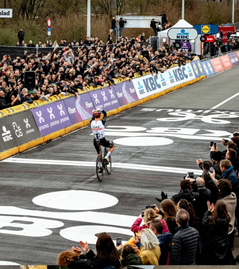 Ronde van Vlaanderen in plaats van de foto met het Belfort Portfolio